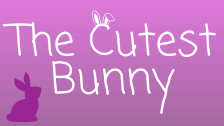 The Cutest Bunny